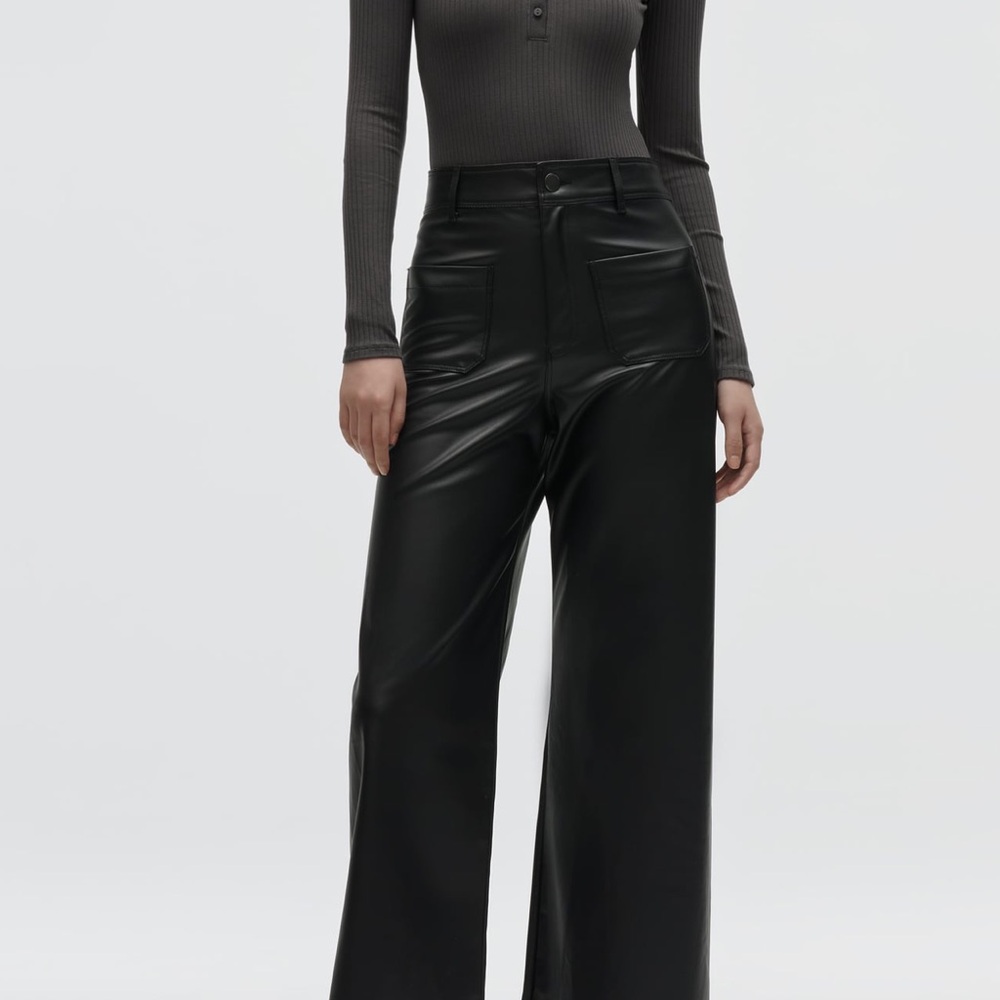 Zara Marine Straight Faux Leather Pants
